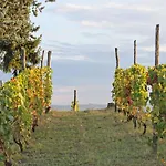 Cascina San Michele ベッド・アンド・ブレックファスト