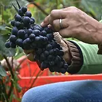 Cascina San Michele ベッド・アンド・ブレックファスト コスティリオーレ・ダスティ