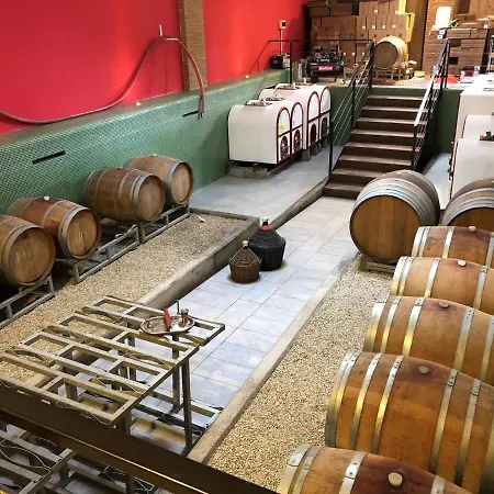 فندق مبيت وإفطار Cascina San Michele 3*