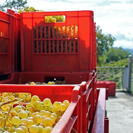 Cascina San Michele 3*