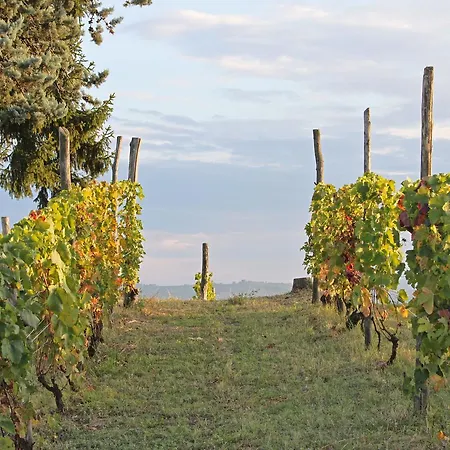 Cascina San Michele فندق مبيت وإفطار