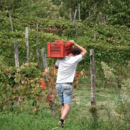 فندق مبيت وإفطار Cascina San Michele كوستيليولي دستي