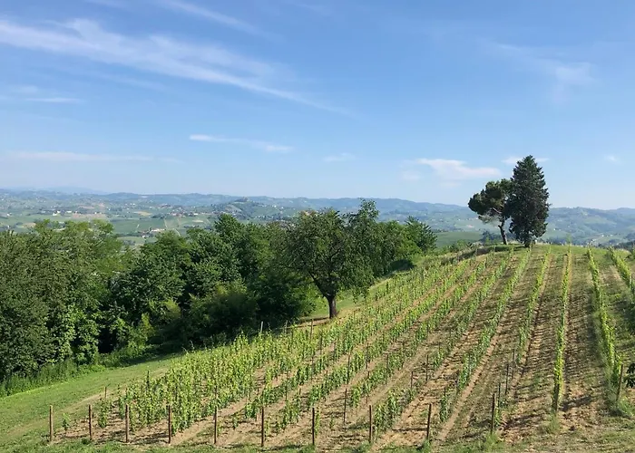 Frühstückspension Cascina San Michele