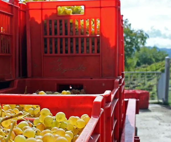 Cascina San Michele 3*