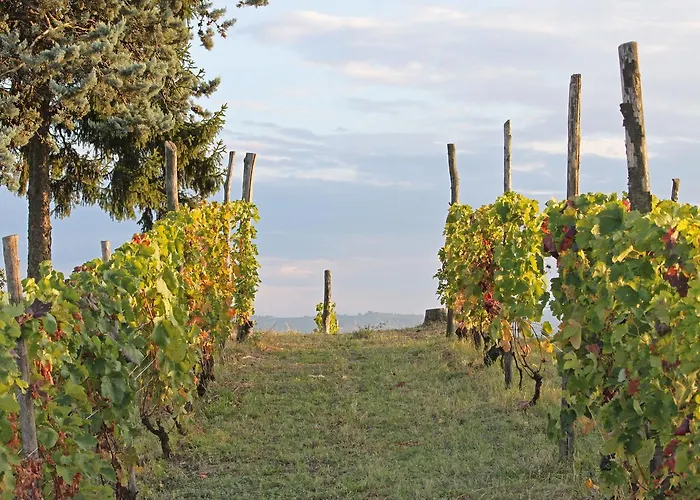 Cascina San Michele Frühstückspension
