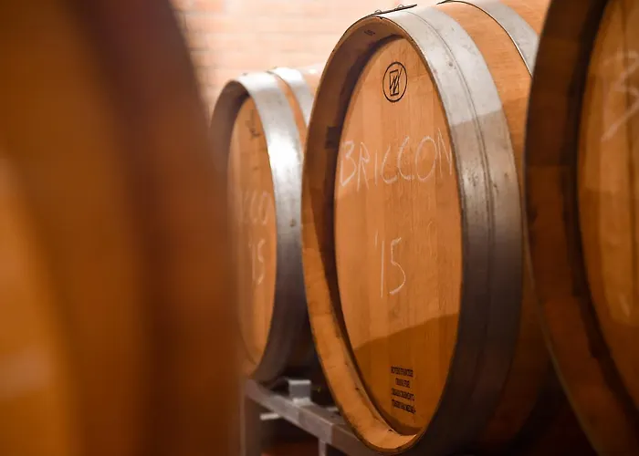 Cascina San Michele 3*