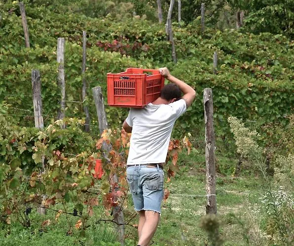 Frühstückspension Cascina San Michele Costigliole d'Asti